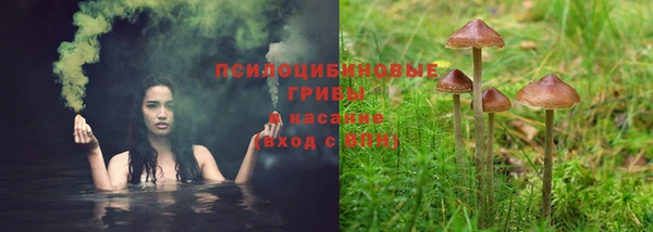 ешки Бронницы