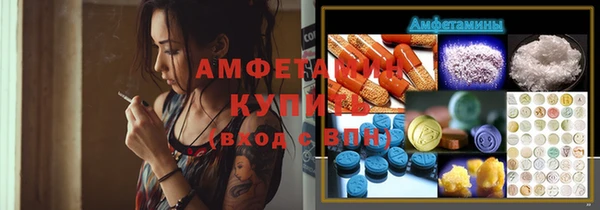 метадон Богданович