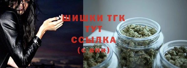 ешки Бронницы