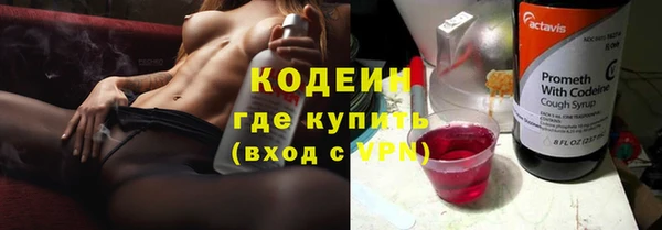 2c-b Бородино