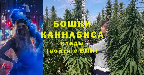 метадон Богданович