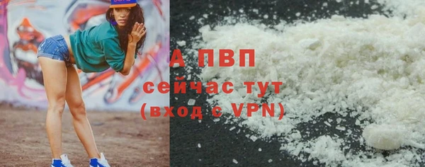 метадон Богданович